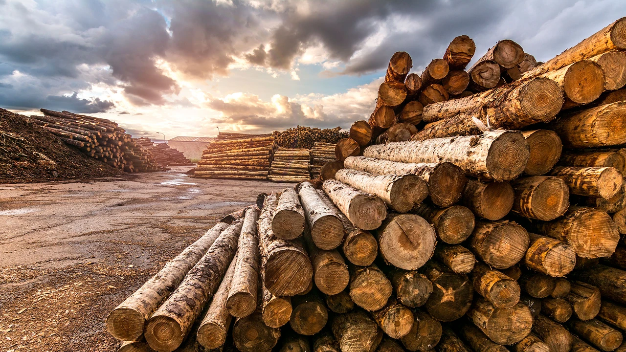 Gold, Aktien und Co: Dieser Indikator kann eine Warnung sein