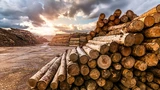 Gold: Gold, Aktien und Co: Dieser Indikator kann eine Warnung sein