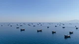 WTI Oil: Verhandlungen zwischen Iran und USA gehen weiter, WTI‑Öl fällt unter 70 Dollar