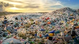 Tomra: Tomra, Waste Management und Co: Müll‑Aktien im Krisen‑Check