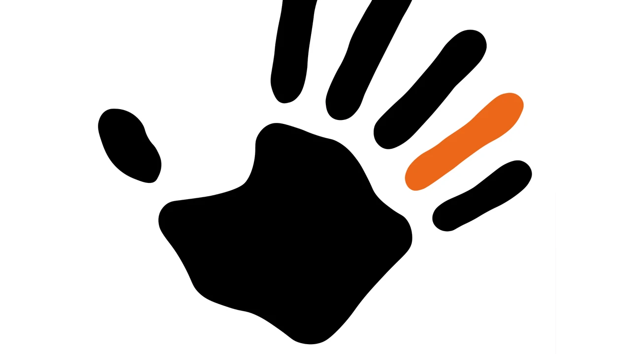 Anleger aufgepasst: Hier kaufen die Insider