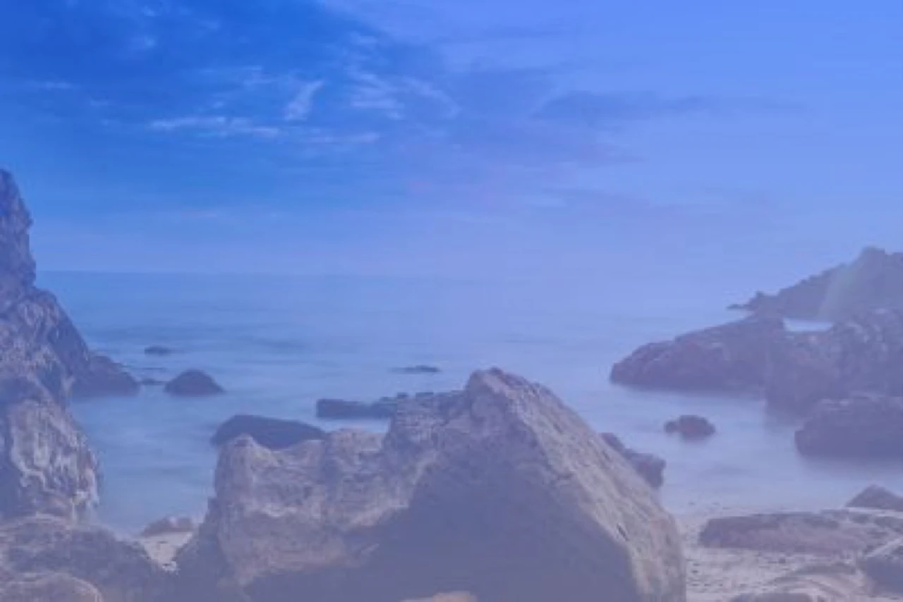 Der Fall einer Wachstums-Aktie: Priceline und EXPEDIA geben weniger für Trivago aus. Umsatz soll 2018 annähernd flach bleiben.