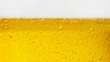 : Mehr Bier! So sind jetzt 100 Prozent drin