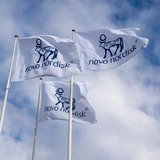 Novo Nordisk: Novo Nordisk: Analysten erhöhen reihenweise die Kursziele