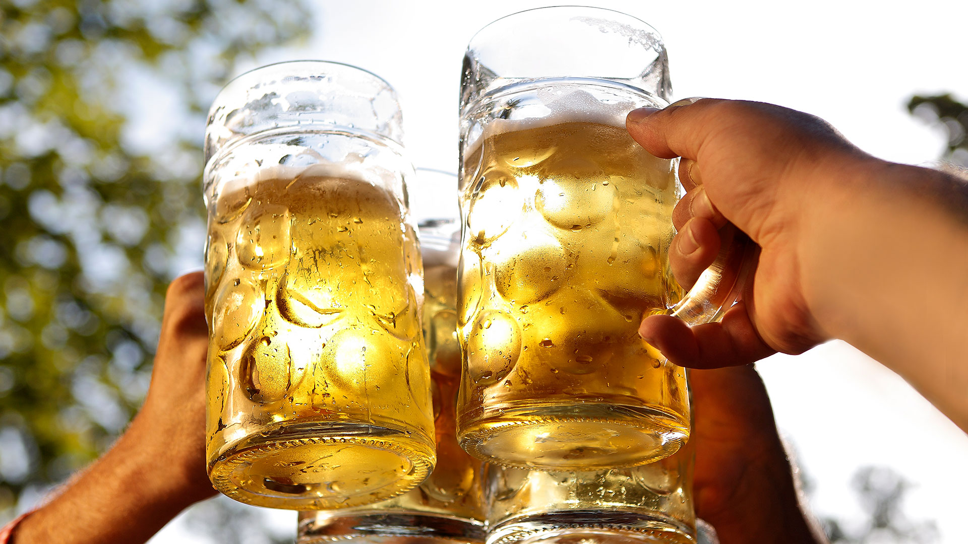 Passend zum Oktoberfest: Die besten Bier&#8209;Aktien  (Foto: Shutterstock)