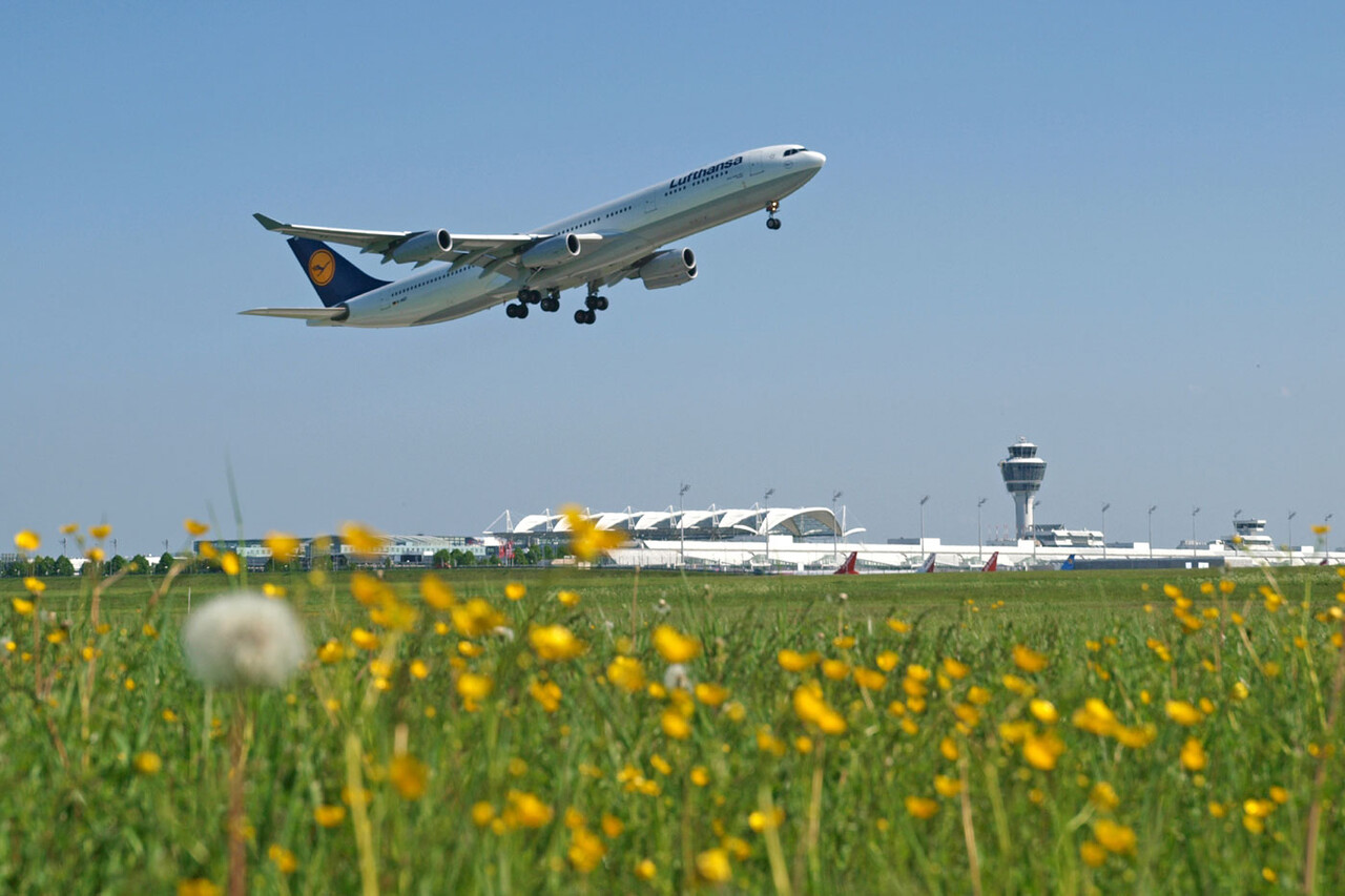 Top-Gewinner Deutsche Lufthansa: Die Überraschung des Tages