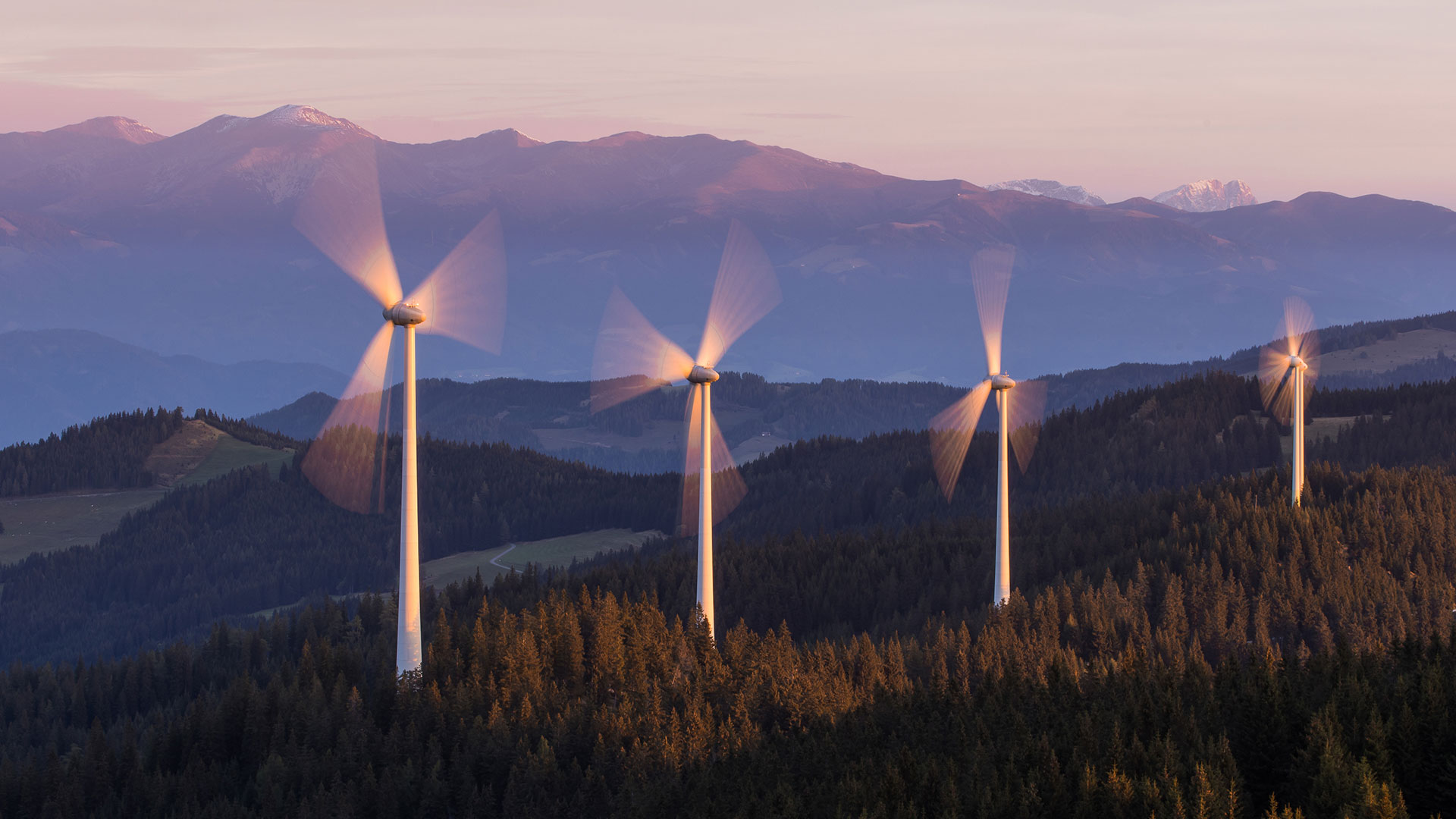 Windenergie&#8209;Rekord in der kommenden Woche? Diese Aktien dürfte das freuen (Foto: Photofex/iStockPhoto)