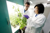 Bayer: Bayer: Das große Umpflügen