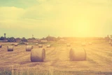 Potash: K+S‑Aktie: Freundliche Absichten