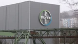 Bayer: Bayer‑Aktie: Klappt die Wende?