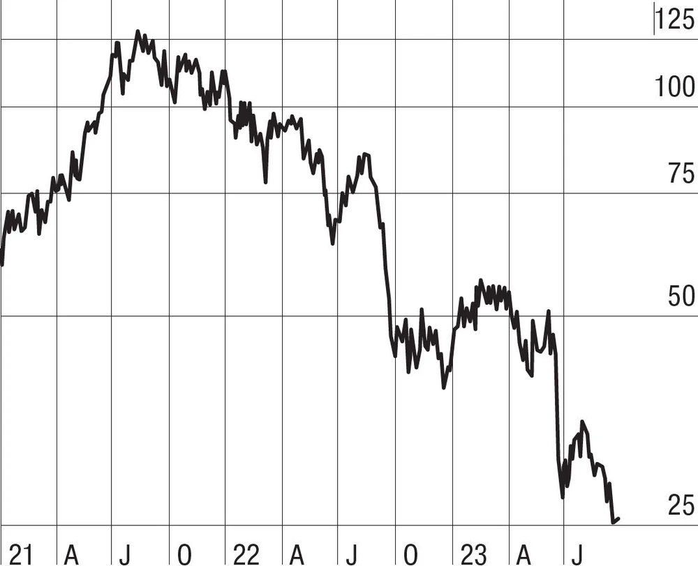 Der Dämmstoff-Hersteller Steico leidet stärker als erwartet unter der Krise der Baubranche.