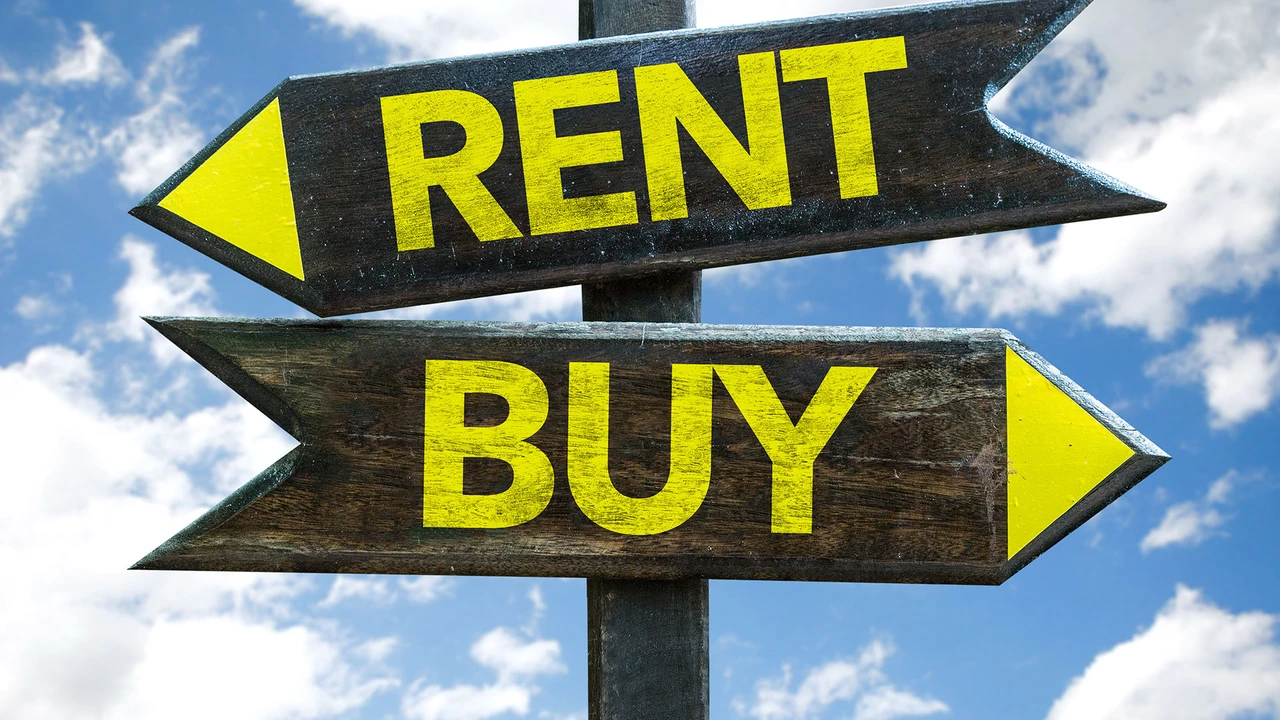 Der Liebling der Profis