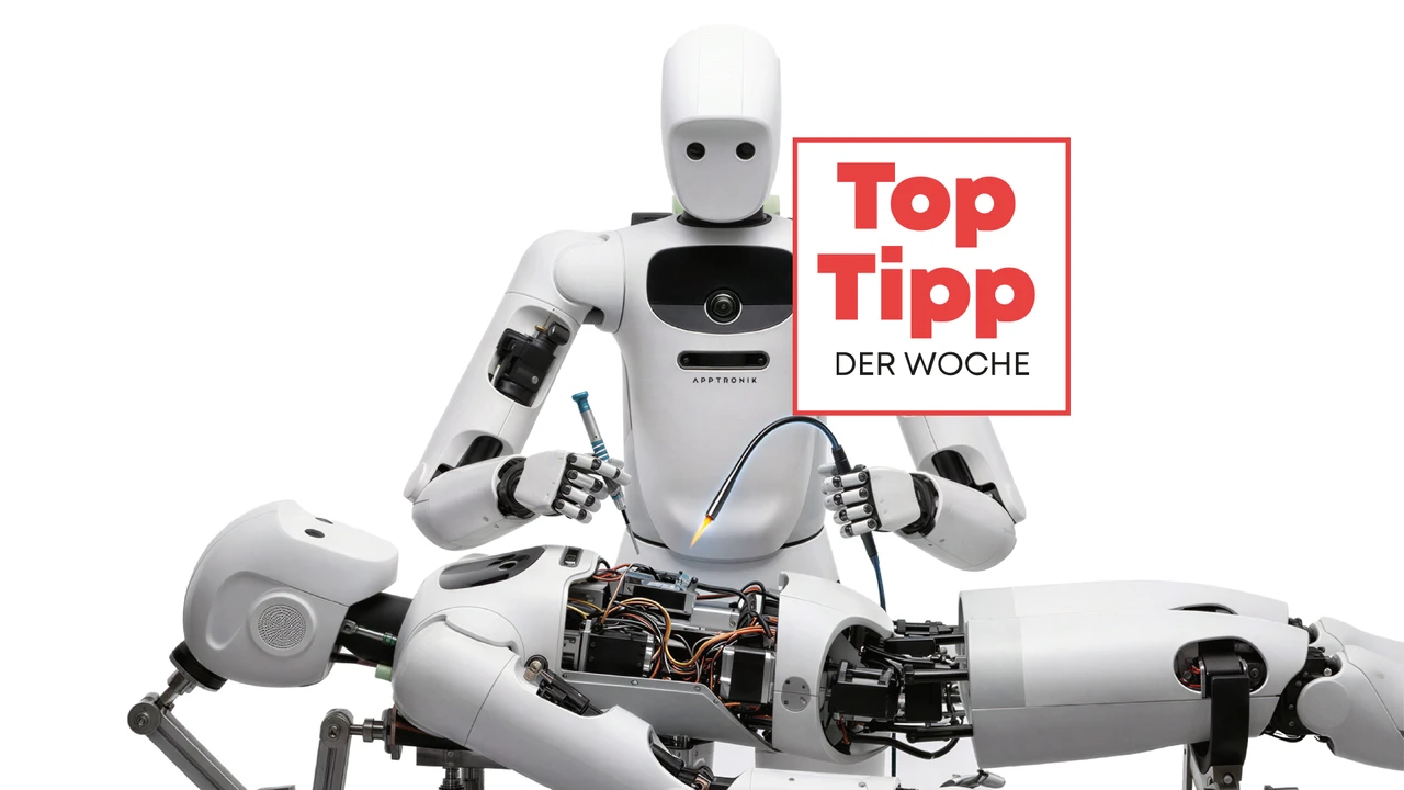 Der größte Gewinner der Robotik-Revolution?