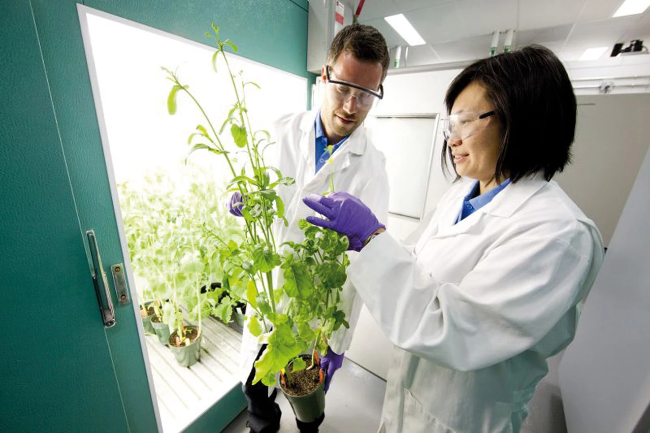 Bayer: Grenzenloser Optimismus – zu Recht?