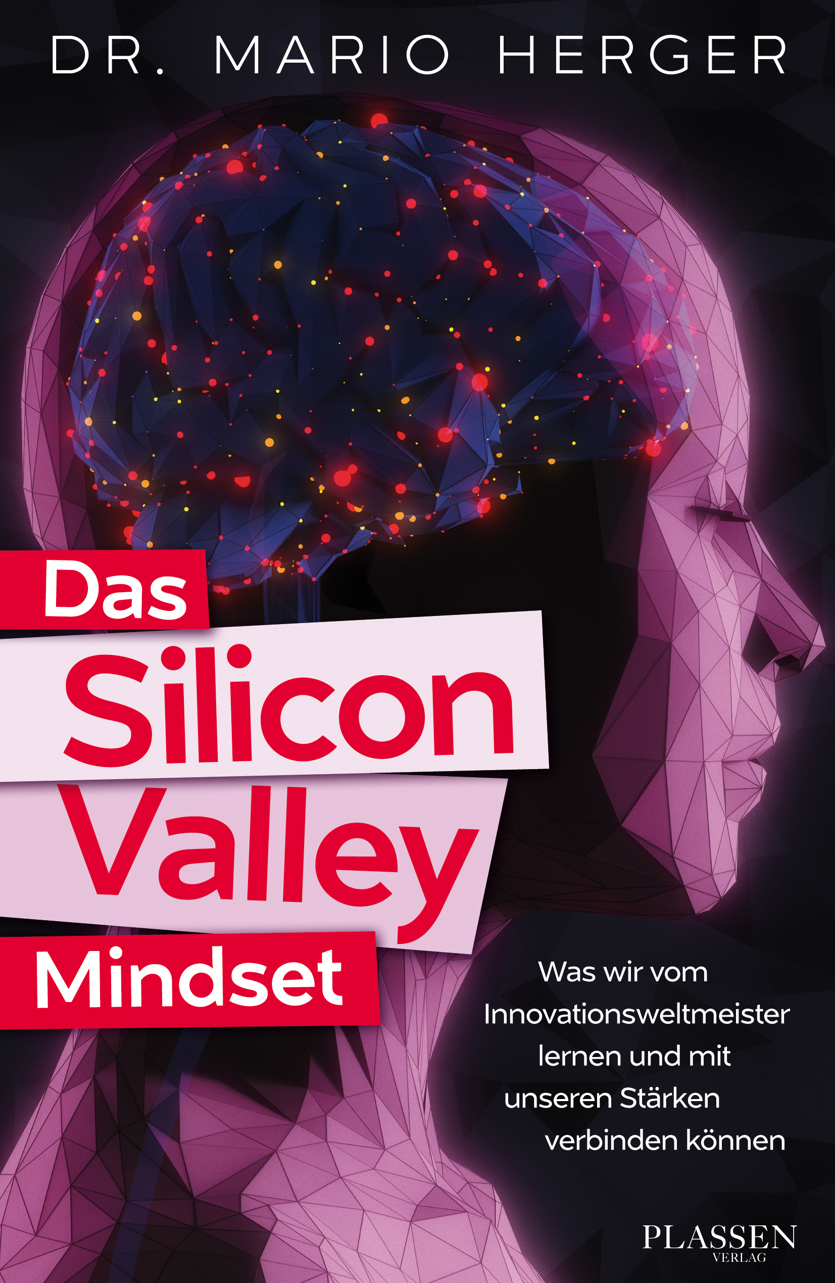 Das Silicon-Valley-Mindset: Was wir vom Innovationsweltmeister lernen und mit unseren Stärken verbinden können