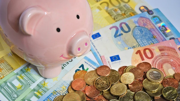 DER AKTIONÄR‑Finanzratgeber: Geld, Steuern, Versicherungen – speziell erklärt für Einsteiger