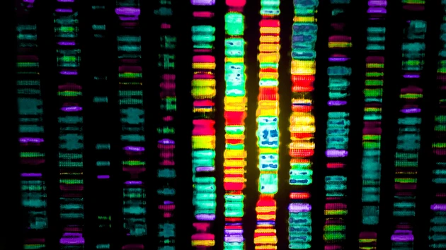 Die neue Illumina? AKTIONÄR‑Tipp 10x Genomics im Rallye‑Modus – lohnt jetzt noch der Einstieg?
