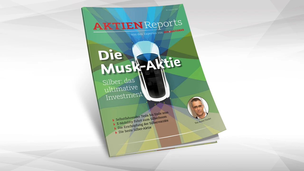 Die Musk-Aktie – der heimliche Profiteur des E-Mobility-Booms