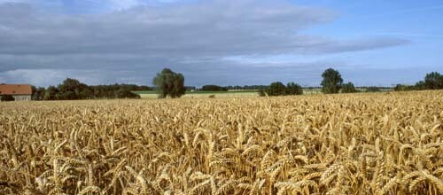 K+S: Die Aktie fällt… wegen Potash