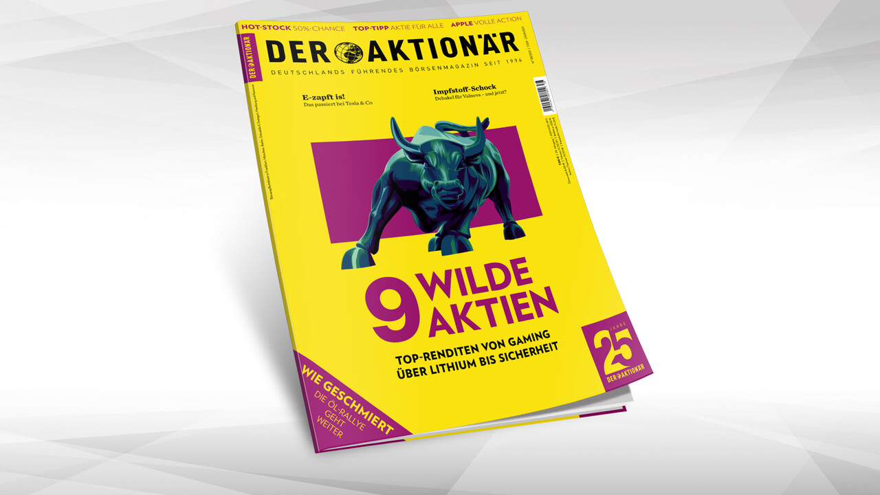 9 wilde Aktien: Top-Renditen von Gaming über Lithium bis Sicherheit