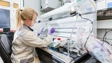Bayer: Bayer: Wichtiger Erfolg, aber...
