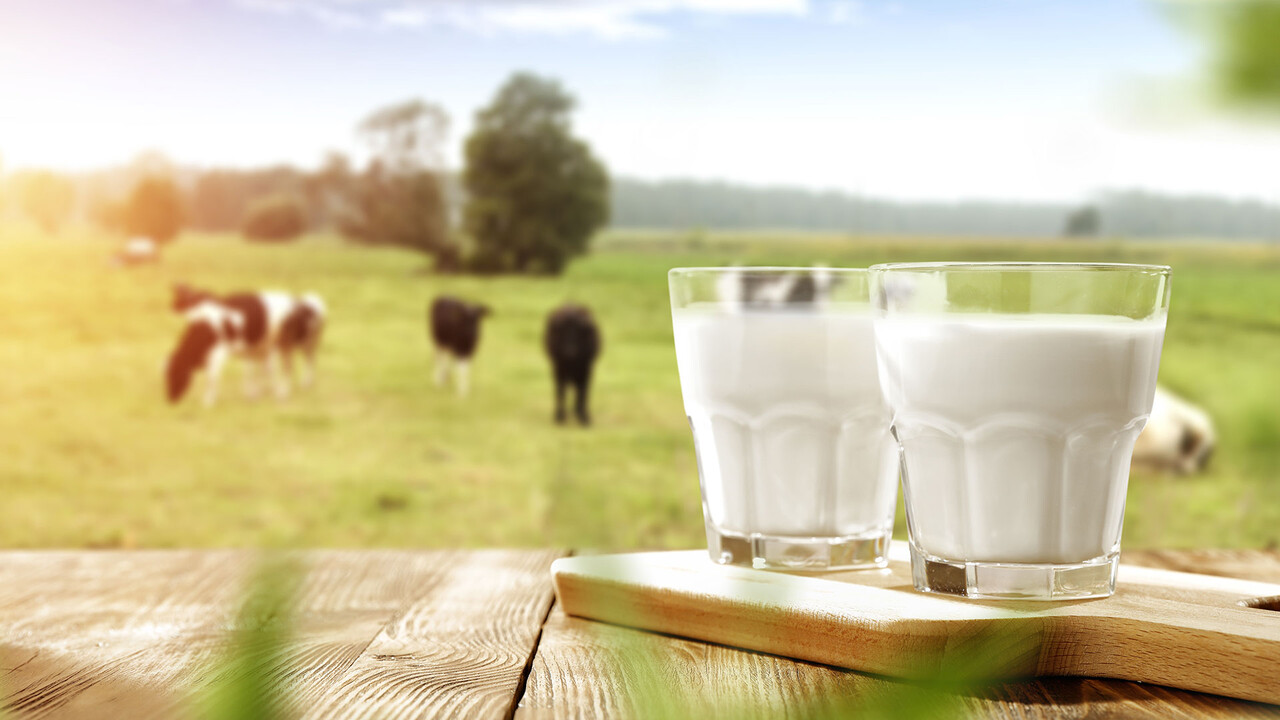 Das geht in Österreich und der Schweiz: Die Milch macht's bei dieser Aktie nicht