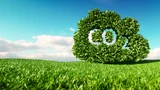 CO2 Index: CO₂‑Preis: Heiße Spekulation  