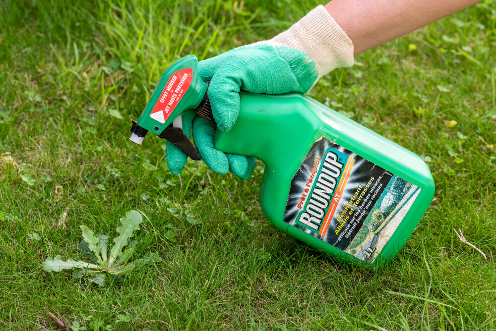 Bayer vor Zahlen und Hauptversammlung: Darauf kommt es jetzt an