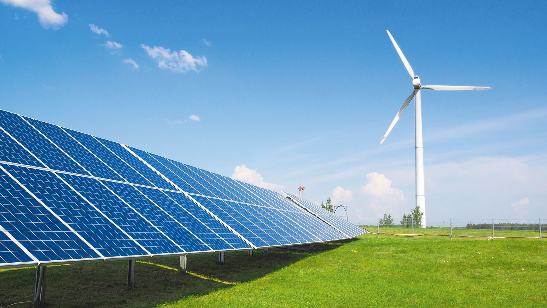 Grüne Kursknaller: Diese Energieaktien überraschen gerade Analysten und Anleger (Foto: bonder.olka/Shutterstock)