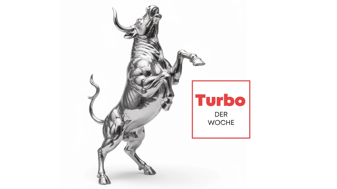 Silber-Bullen außer Rand und Band