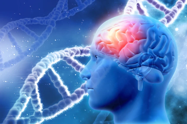 Probiodrug: Hoffnung bei Alzheimer‑Forschung