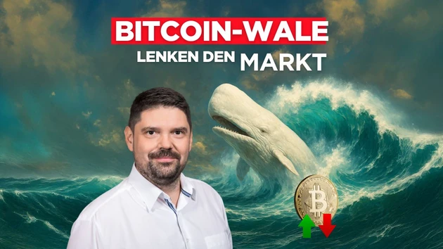 Große Wallets, große Wirkung – wie Wale den Kryptomarkt steuern