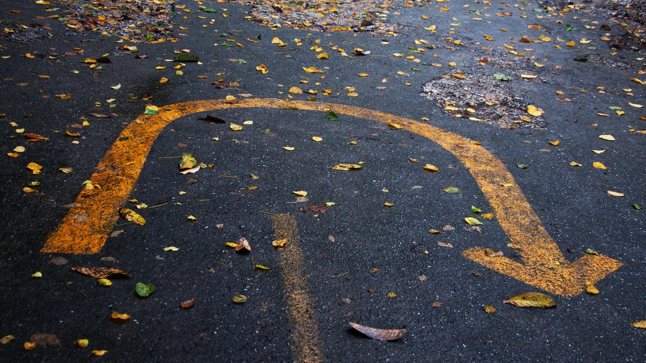 Tesla vs. BYD: Langersehnte Trendwende in Sicht