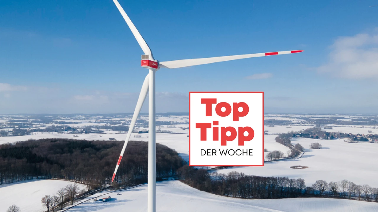 Das Jahr des Aufwinds