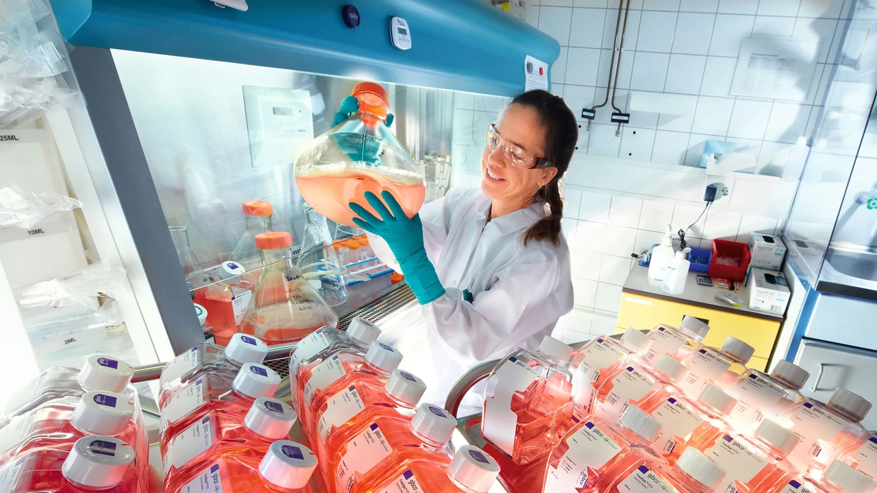 Bayer: „Besser als erwartet“ – Deutsche Bank reagiert