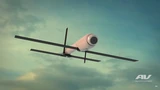 AeroVironment: Drohnen statt Top Gun: Aerovironment im Einsatz gegen Putin