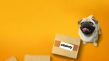 Chewy: Chewy: Paket für Rex