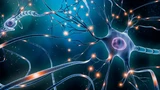 Neurocrine Biosciences: Historisch: Top‑Zulassung für diesen AKTIONÄR‑Top‑Tipp