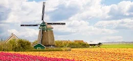 Aktien statt Tulpen: Sieben Favoriten aus den Niederlanden (Foto: Börsenmedien AG)
