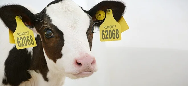 Ekosem&#8209;Agrar: Die Milch&#8209;Anleihe für Anleger (Foto: Börsenmedien AG)