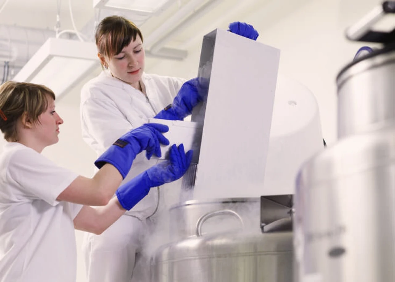 Vita 34 entwickelt Zellpräparate als Ausgangsstoff für Immunzelltherapien und wandelt sich zur Zellbank. Richtiger Schritt, der personalisierten Medizin gehört die Zukunft. Spekulativ kaufen!