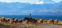 Barings: Nachrichten aus Argentinien und Ungarn (Foto: Börsenmedien AG)