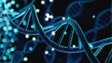 Verve Therapeutics: Eli Lilly will Verve Therapeutics schlucken – 113 Prozent Aufschlag!