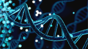Eli Lilly will Verve Therapeutics schlucken – 113 Prozent Aufschlag!  / Foto: Shutterstock
