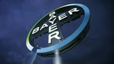 Bayer: Bayer‑Aktie: Erholung nimmt Fahrt auf