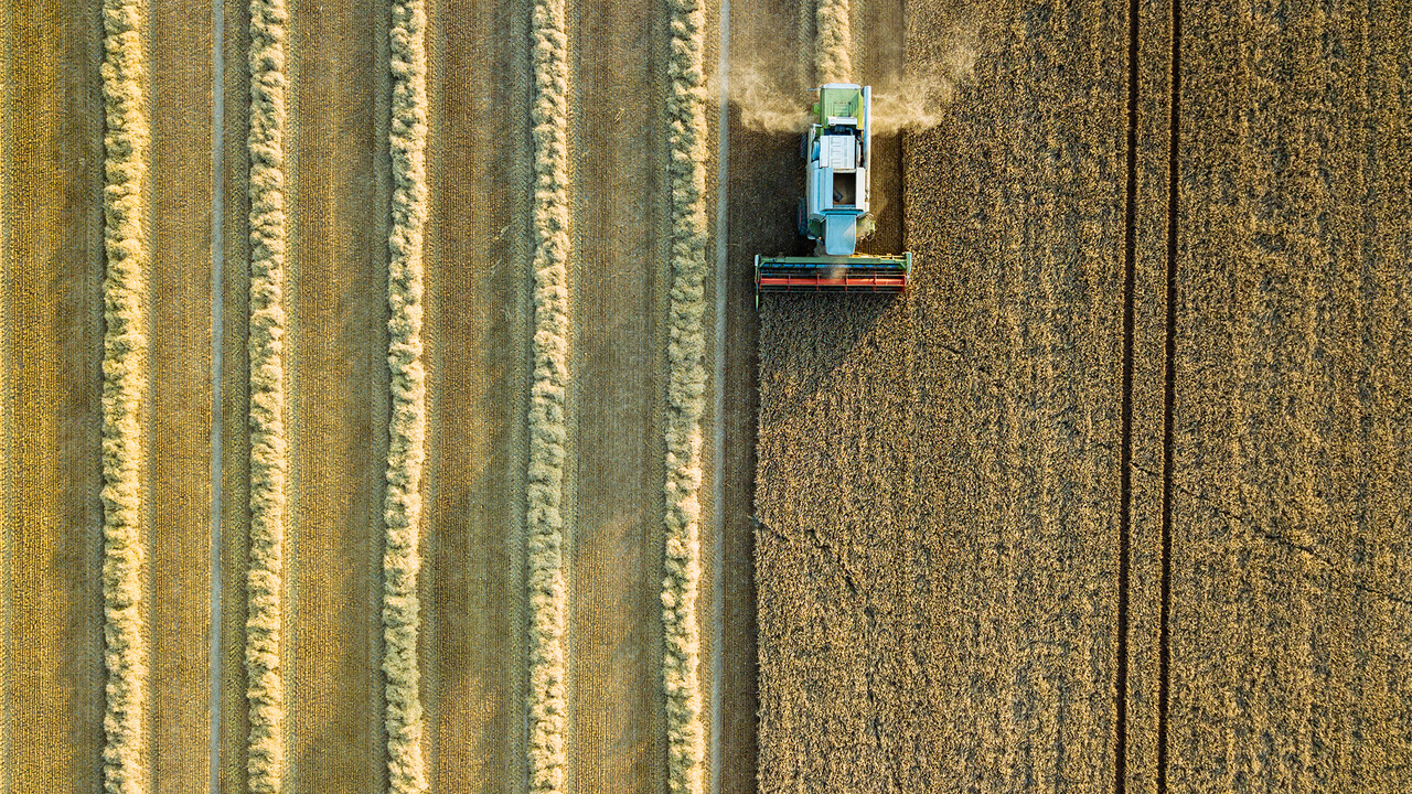 Nutrien: Hier bahnt sich etwas an