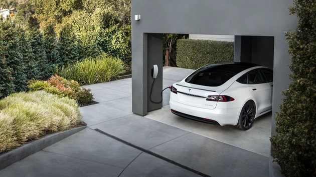 Sein Ernst? Elon Musk verbannt größten Tesla‑Fan – wegen diesem Vorwurf