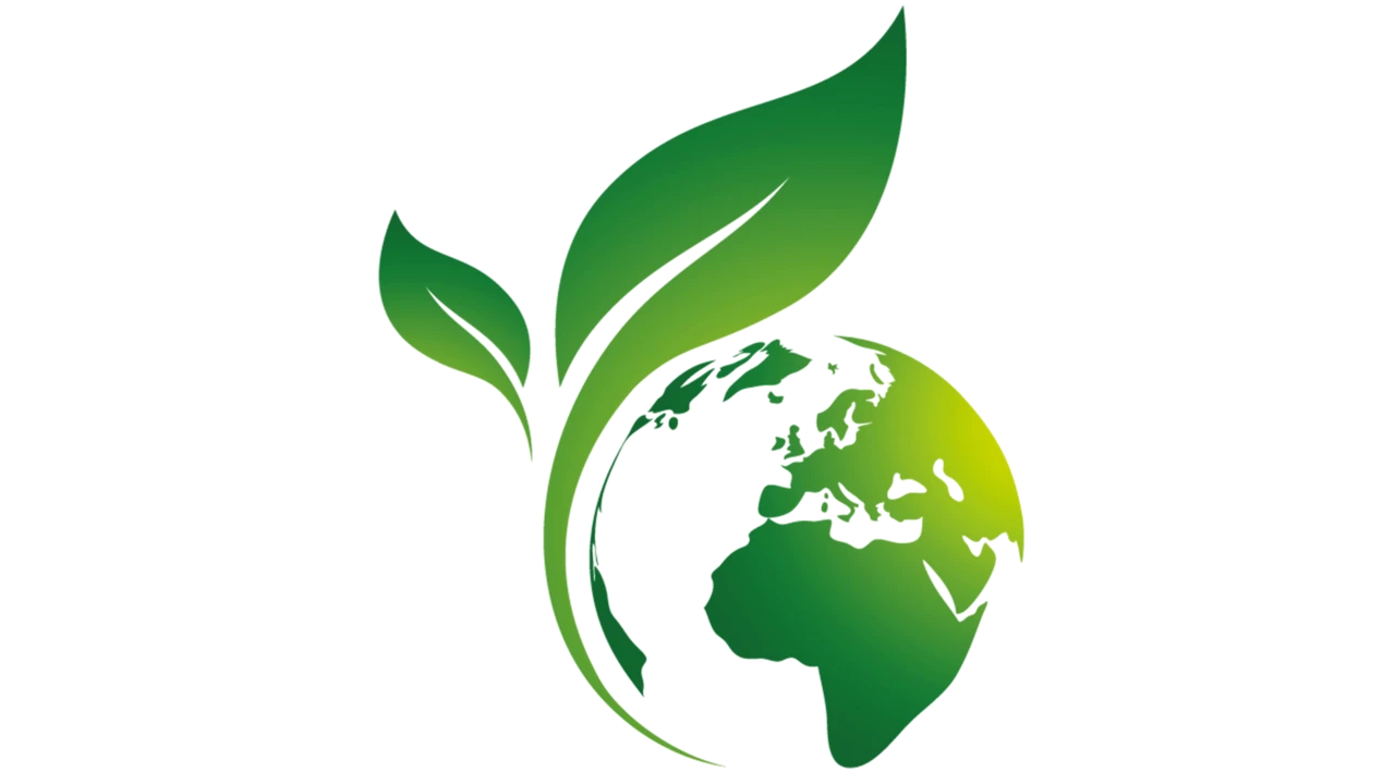 Top-Tipp Derivate: Grüne Gewinne