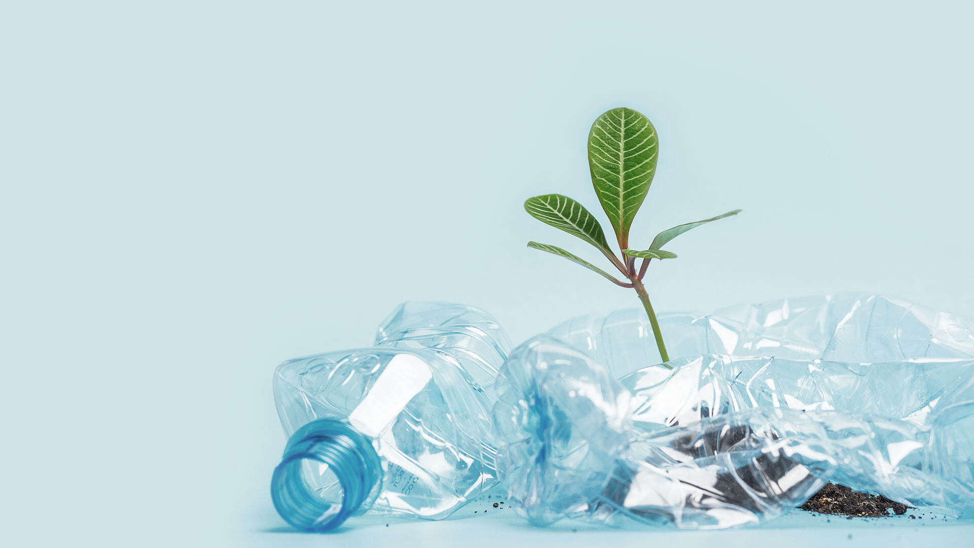 Zero Plastic Index