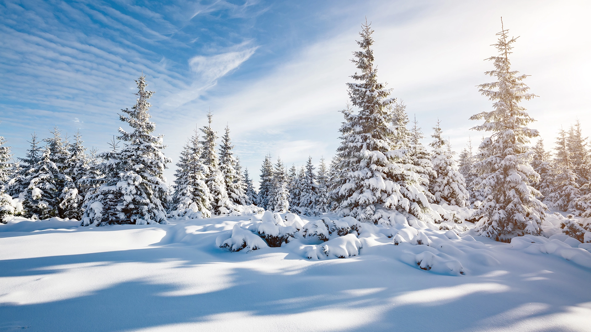 Plötzlicher Wintereinbruch: Diese spannenden Aktien sind die großen Profiteure  (Foto: Creative Travel Projects/Shutterstock)